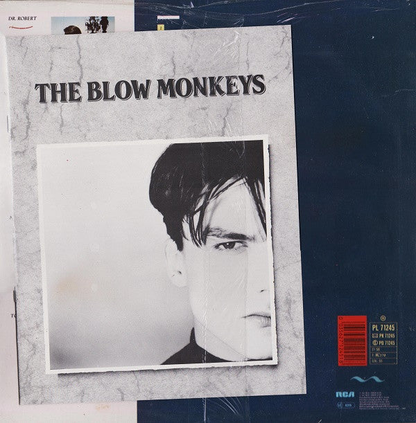 The Blow Monkeys : She Was Only A Grocer's Daughter (LP, Album, Ltd)