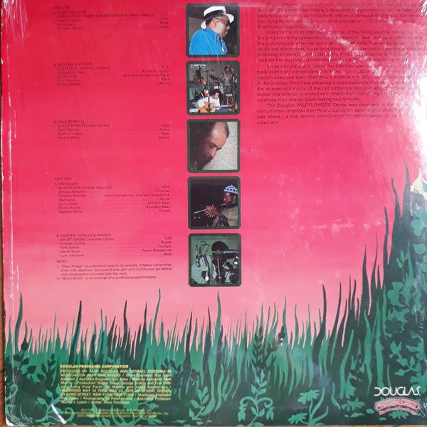 Various : Wildflowers 3 (The New York Loft Jazz Sessions) (LP, Album, Pit)