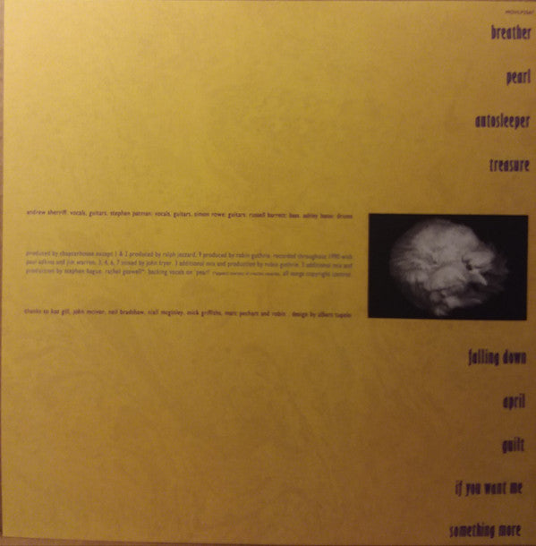 Chapterhouse : Whirlpool (LP, Album, RE)