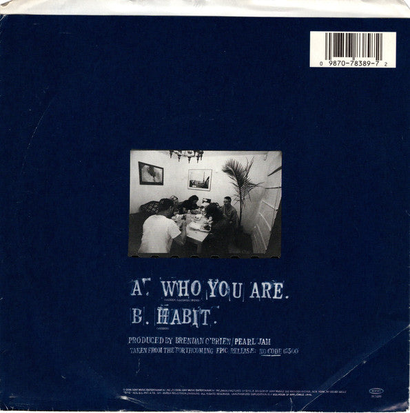 Pearl Jam : Who You Are (7")