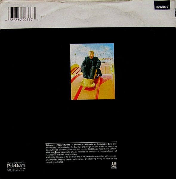 Black (2) : Wonderful Life (7", Single)