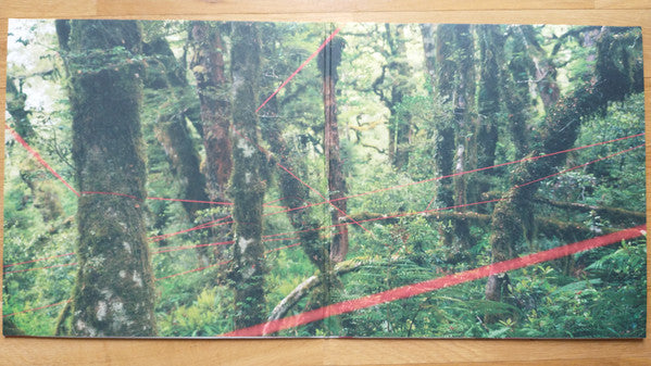 Four Tet : Everything Ecstatic (LP + LP, S/Sided, Etch + Album, RE)