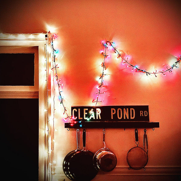 Kristin Hersh : Clear Pond Road (CD, Album)