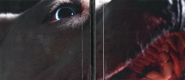 Roger Waters : The Dark Side Of The Moon Redux (CD, Album)