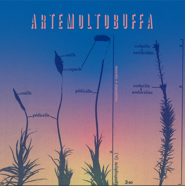 Artemoltobuffa : Stanotte / Stamattina (LP, Album)