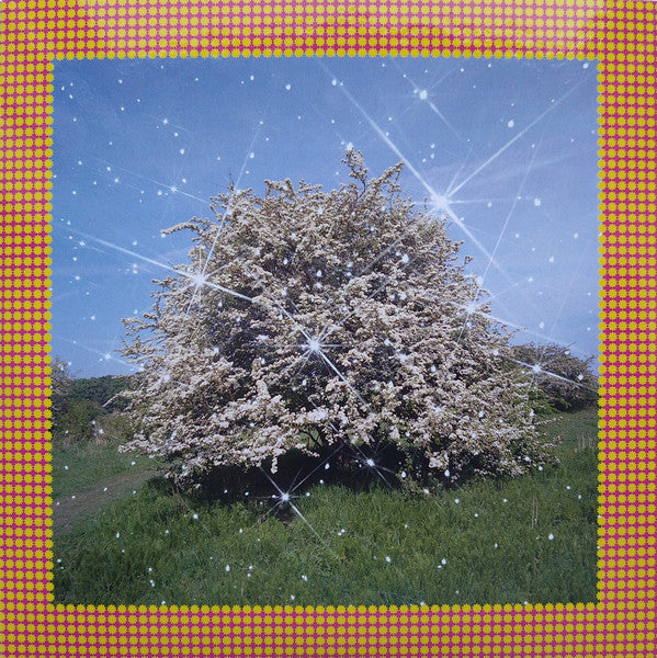 Caribou : Honey (CD, Album)