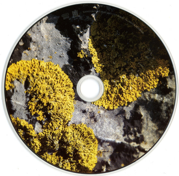 Anna B Savage : You & I Are Earth (CD, Album)