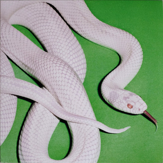 Deftones : Private Music (LP, Album)