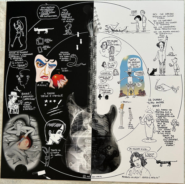 The Zen Circus : Il Male (LP)