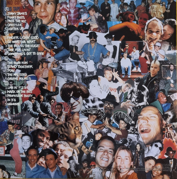Beastie Boys : Check Your Head (2xLP, Album, RE, RM, 180)