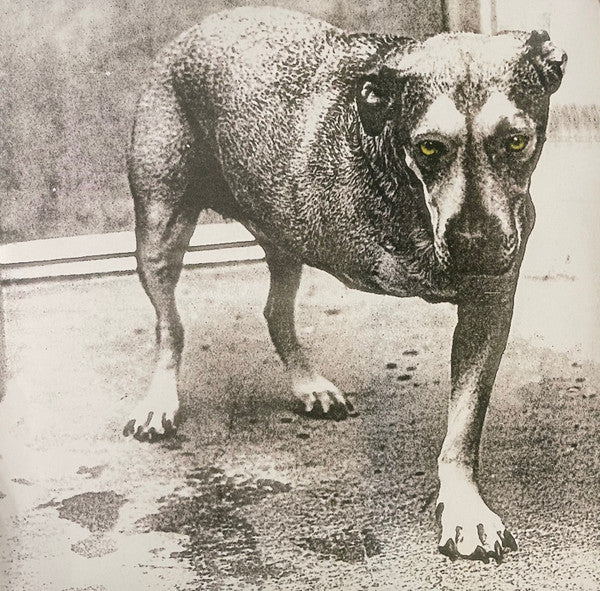 Alice In Chains : Alice In Chains (2xLP, Album, Ltd, RE, Yel)