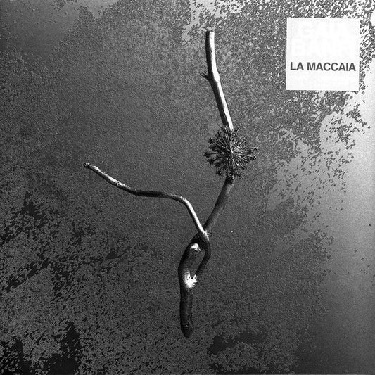 Gaia Banfi : La Maccaia (LP, Album)