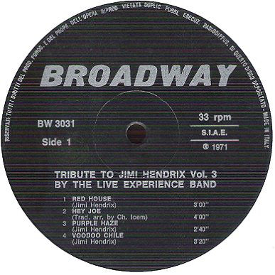 The Live Experience Band : Tribute To Jimi Hendrix Vol.3 (LP)