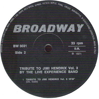 The Live Experience Band : Tribute To Jimi Hendrix Vol.3 (LP)