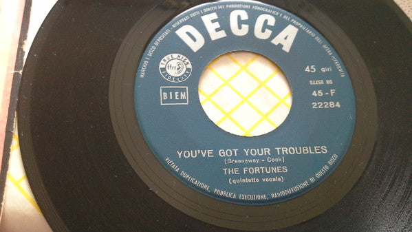 The Fortunes : You've Got Your Troubles / This Empty Place  (7")